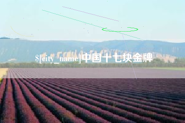 鹰潭中国十七块金牌