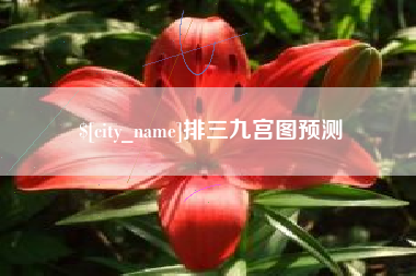 鹰潭排三九宫图预测