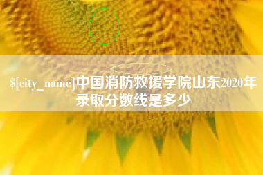鹰潭中国消防救援学院山东2020年录取分数线是多少