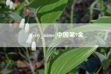 鹰潭中国第9金