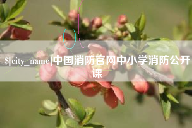 鹰潭中国消防官网中小学消防公开课