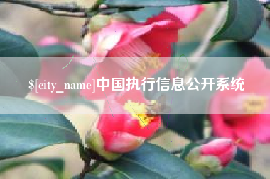 鹰潭中国执行信息公开系统