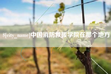 鹰潭中国消防救援学院在那个地方