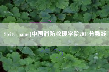 鹰潭中国消防救援学院2018分数线