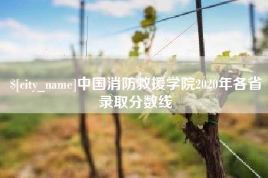 鹰潭中国消防救援学院2020年各省录取分数线