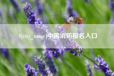 鹰潭中国消防报名入口