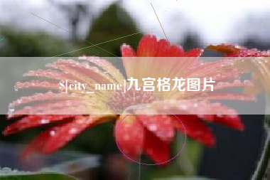 鹰潭九宫格龙图片