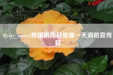 鹰潭我国消防日是哪一天消防宣传日