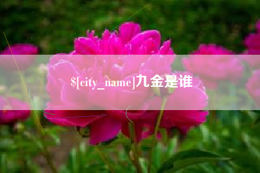鹰潭九金是谁