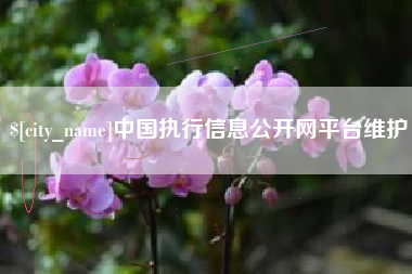 鹰潭中国执行信息公开网平台维护
