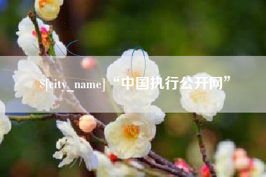 鹰潭“中国执行公开网”