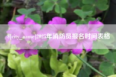 鹰潭2025年消防员报名时间表格