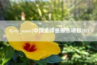 鹰潭中国金牌是哪些项目2021