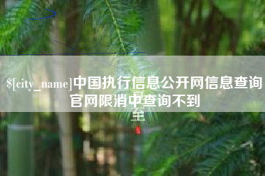 鹰潭中国执行信息公开网信息查询官网限消中查询不到