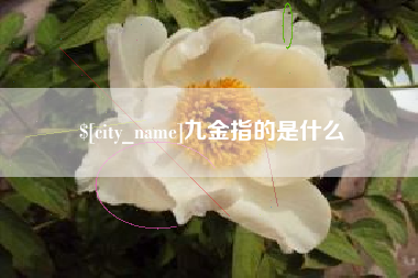 鹰潭九金指的是什么