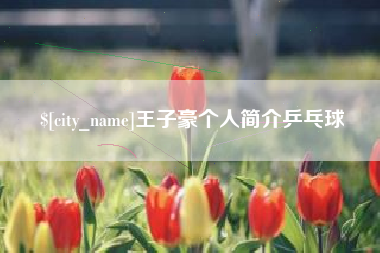鹰潭王子豪个人简介乒乓球