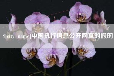鹰潭中国执行信息公开网真的假的