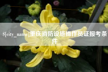 鹰潭重庆消防设施操作员证报考条件
