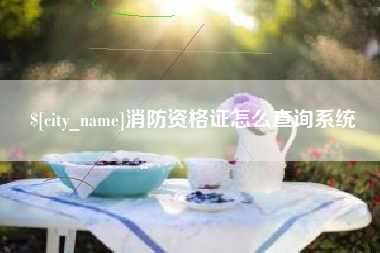 鹰潭消防资格证怎么查询系统
