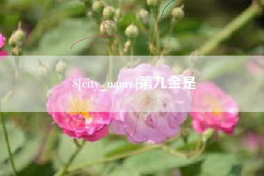 鹰潭第九金是