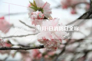 鹰潭11月9日消防日全称