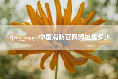 鹰潭中国消防官网网址是多少