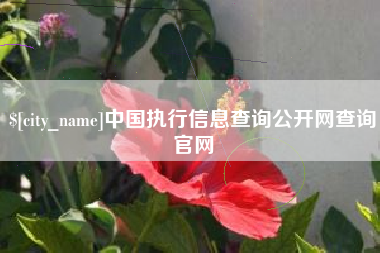鹰潭中国执行信息查询公开网查询官网
