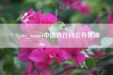 鹰潭中国执行网公开查询