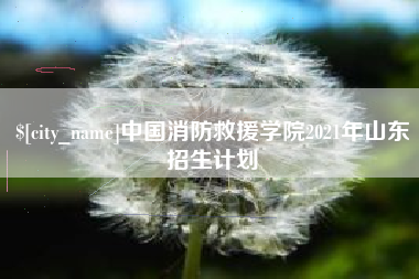 鹰潭中国消防救援学院2021年山东招生计划