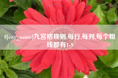 鹰潭九宫格规则,每行,每列,每个粗线都有1-9
