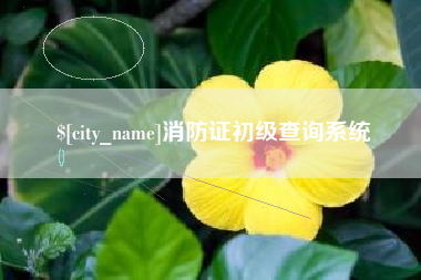 鹰潭消防证初级查询系统
