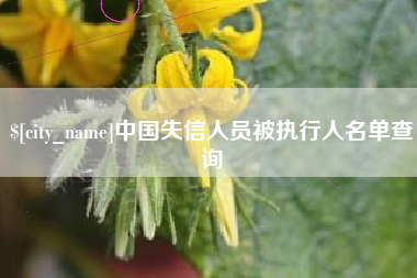 鹰潭中国失信人员被执行人名单查询