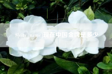 鹰潭现在中国金牌是多少