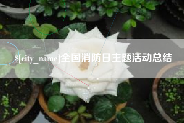 鹰潭全国消防日主题活动总结
