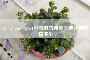 鹰潭2021中国消防救援学院分数线是多少