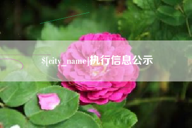 鹰潭执行信息公示
