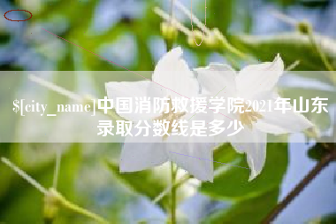 鹰潭中国消防救援学院2021年山东录取分数线是多少