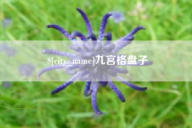 鹰潭九宫格盘子