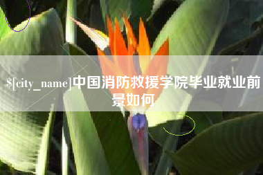 鹰潭中国消防救援学院毕业就业前景如何