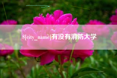 鹰潭有没有消防大学