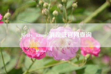 鹰潭消控证官网查询