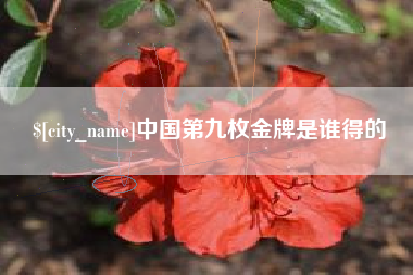 鹰潭中国第九枚金牌是谁得的