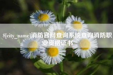 鹰潭消防官网查询系统查询消防职业资格证书