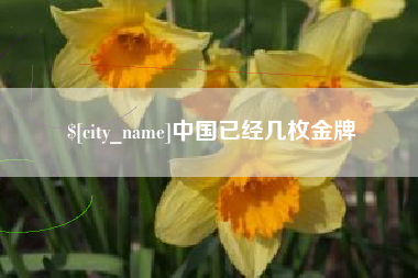 鹰潭中国已经几枚金牌