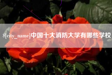 鹰潭中国十大消防大学有哪些学校