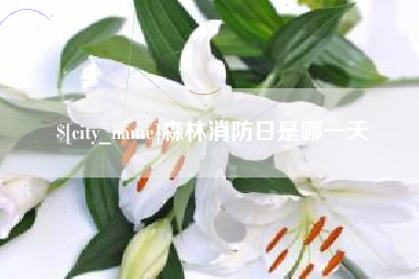 鹰潭森林消防日是哪一天