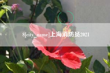 鹰潭上海消防员2021