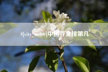 鹰潭中国夺金排第几