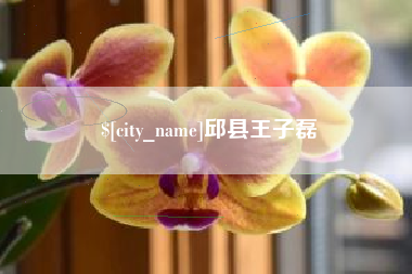 鹰潭邱县王子磊