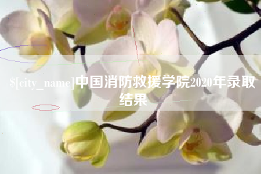鹰潭中国消防救援学院2020年录取结果